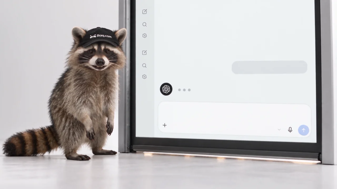 Raqoon, a photoreal raccoon in a black Raq.com cap, standing beside a chat window
